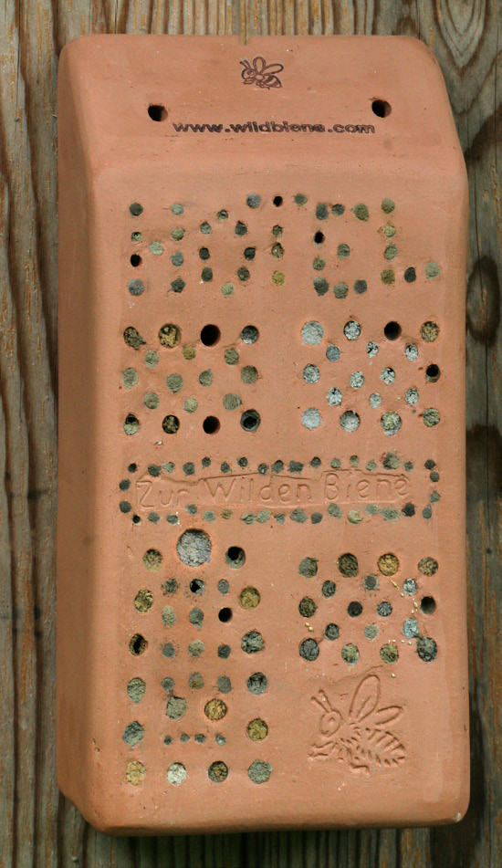 Bild 14: Alte Backsteine (im oberen Teil ungebrannte Lehmziegeln) können mit Lehm zu einer Pelzbienen-Nistwand aufgemauert werden.