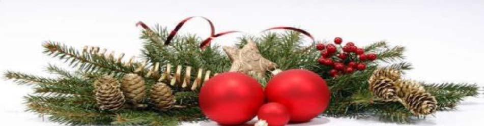 Weihnachts Buffet 2015 Mozzarella mit Kirschtomaten und Basilikum *** Gefüllte Tomaten mit Senfgemüse *** Salatbar (frische & hausgemachte Salate) French- und Joghurt-Dressing, sowie Essig & Öl ***