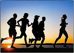 Training / körperliche Aktivität (Bewegung) hält uns fit