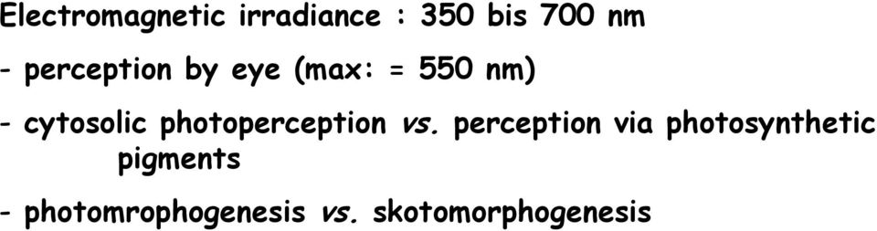 photoperception vs.
