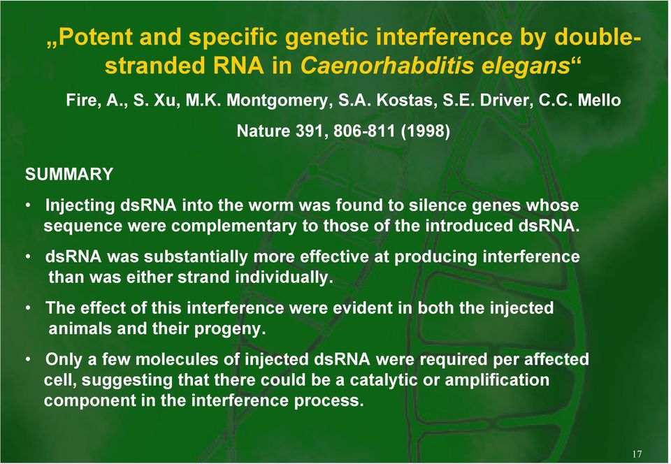 C. Mello SUMMARY Nature 391, 806-811 (1998) Injecting dsrna into the worm was found to silence genes whose sequence were complementary to those of the introduced dsrna.