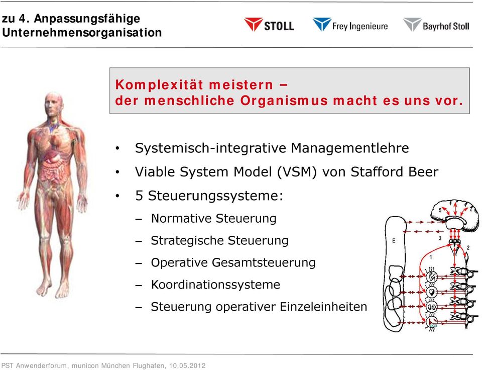 Systemisch-integrative Managementlehre Viable System Model (VSM) von Stafford Beer 5