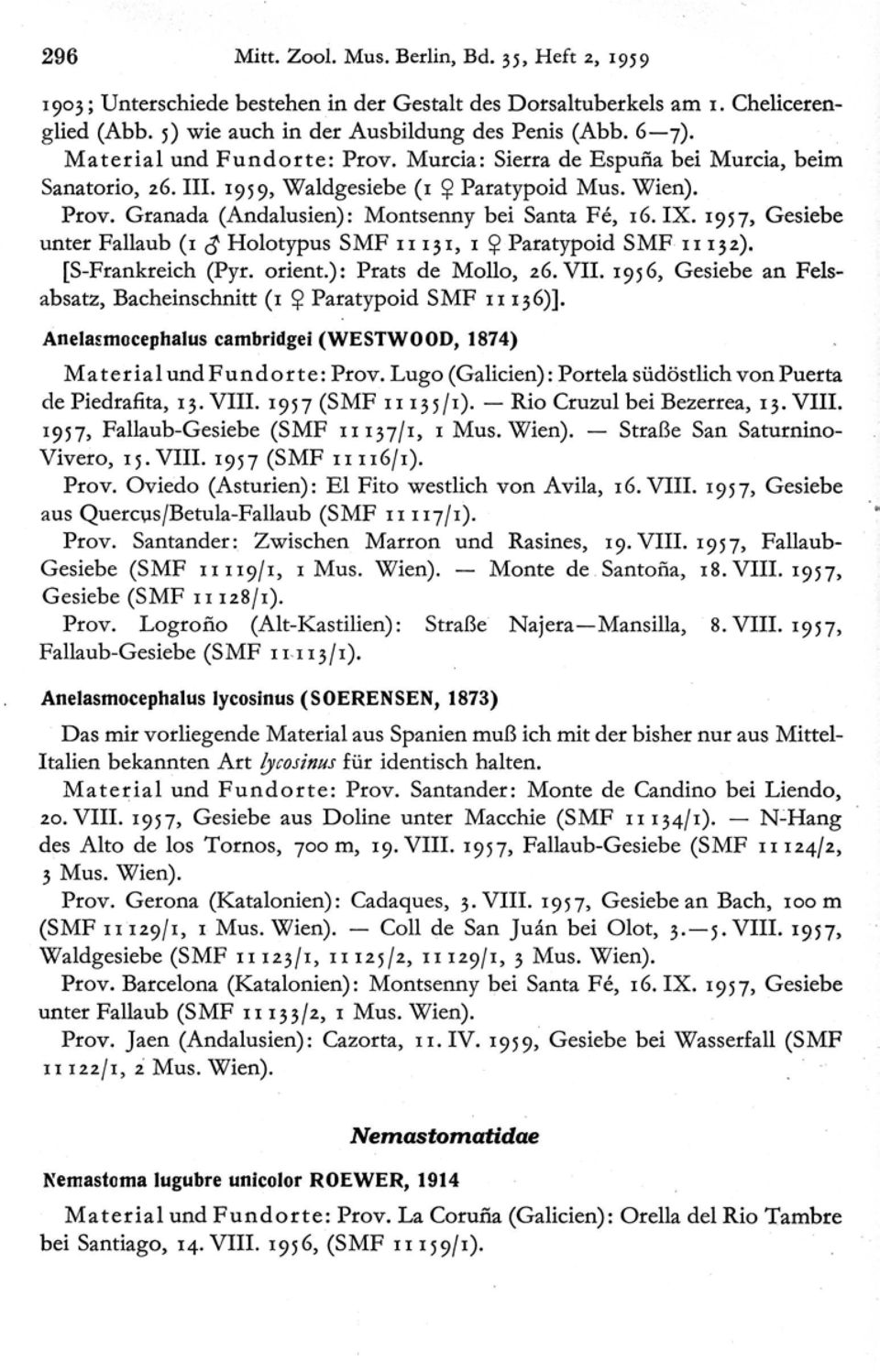 1957, Gesieb e unter Fallaub (1 # Holotypus SMF 11 '31, 1 Paratypoid SMF 1113 2). [S-Frankreich (Pyr. orient.) : Prats de Mollo, 26. VII.