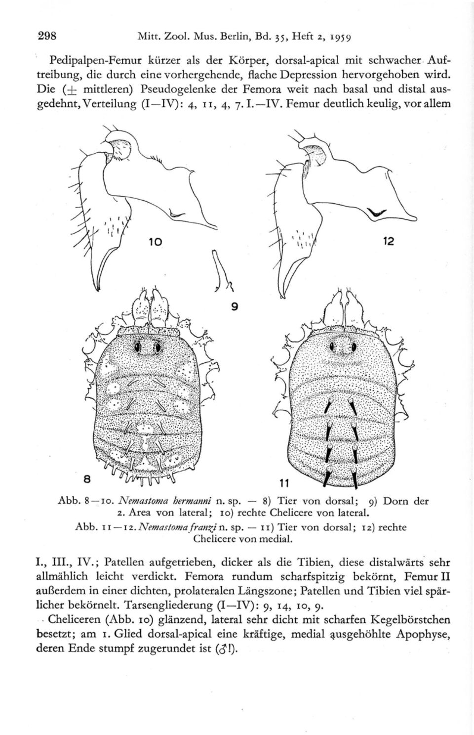 8) Tier von dorsal ; 9) Dorn der 2. Area von lateral ; l o) rechte Chelicere von lateral. Abb. 11-12. Nemastoma franzi n. sp. 11) Tier von dorsal ; 12) recht e Chelicere von medial. I., III., IV.