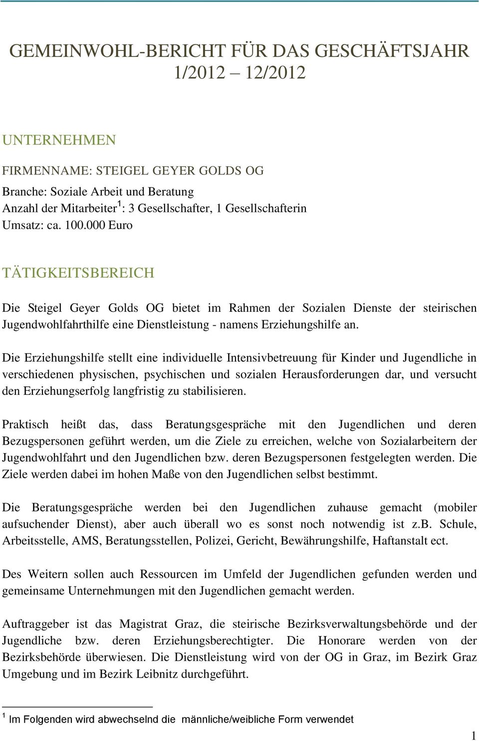 000 Euro TÄTIGKEITSBEREICH Die Steigel Geyer Golds OG bietet im Rahmen der Sozialen Dienste der steirischen Jugendwohlfahrthilfe eine Dienstleistung - namens Erziehungshilfe an.