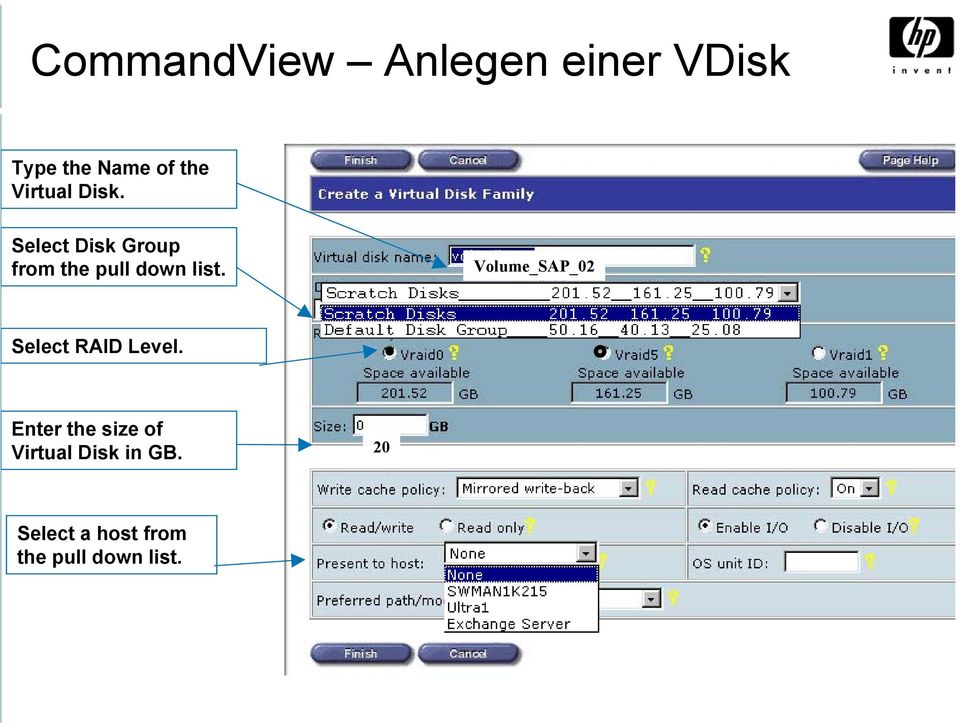 Volume_SAP_02 Select RAID Level.