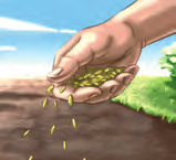 Rasenanlage - Der Boden sollte spatentief umgegraben werden, wobei Fremdbewuchs entfernt werden muss. - Abharken des Saatbeetes, um es von vorhandenen Pflanzenresten, groben Steinen etc.