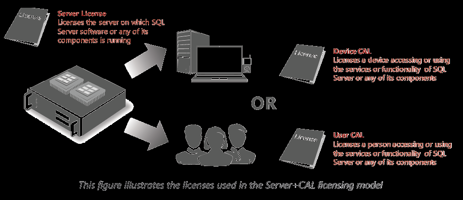 Server & CAL Server and Client Access Licence (CAL) Es werden eine Serverlizenz und die benötigten Client- Zugriffslizenzen