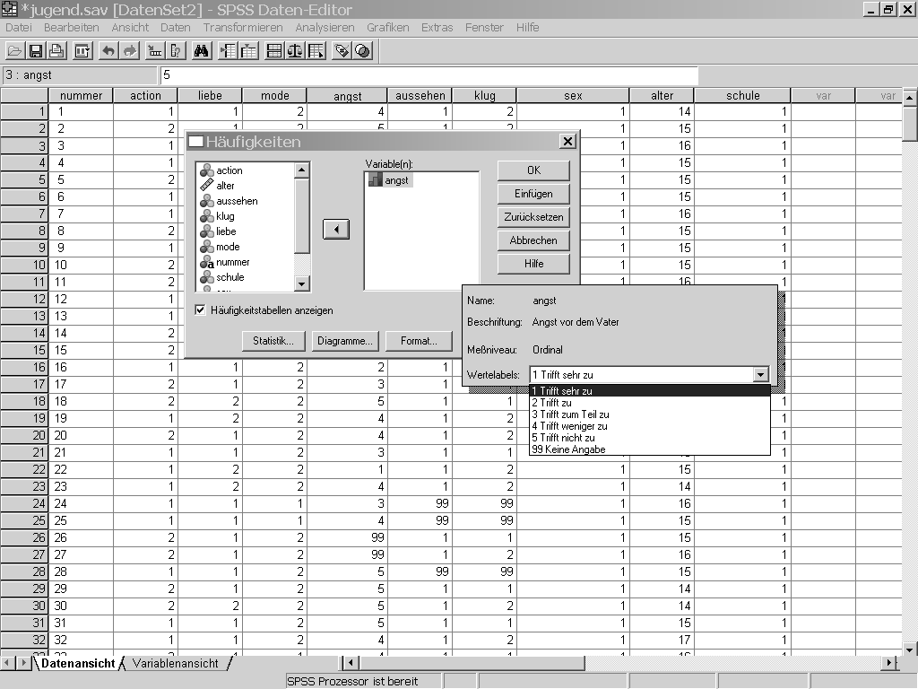 3.8 Informationen zur Datendatei 97 Das Daten-Editor-Fenster wird daraufhin horizontal gerollt, so dass die in der Liste markierte Variable im Fenster erscheint.