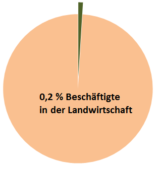 Chancen und Risiken urbaner Landwirtschaft Wenige Landwirte (0,2% Beschäftigte) gestalten einen großen Flächenanteil in der Metropole Ruhr (39%) und Emscher