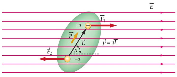 Musso: Physik II Teil 1 Elektrisches Feld I Seite 1 1.