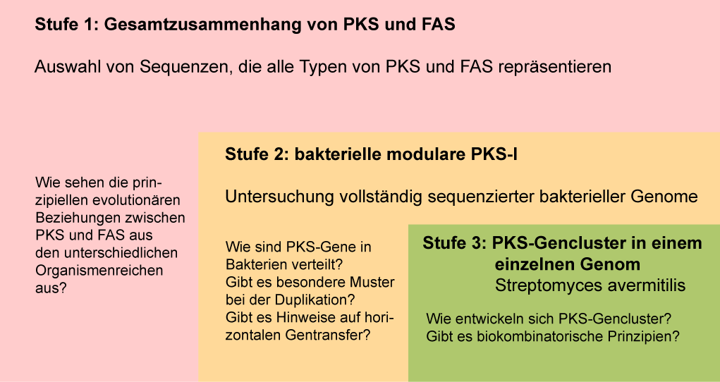 4 Diskussion 4.