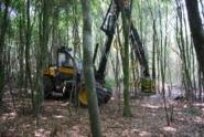 Holzenergienutzung im Kontext nachhaltiger Waldbewirtschaftung 16.