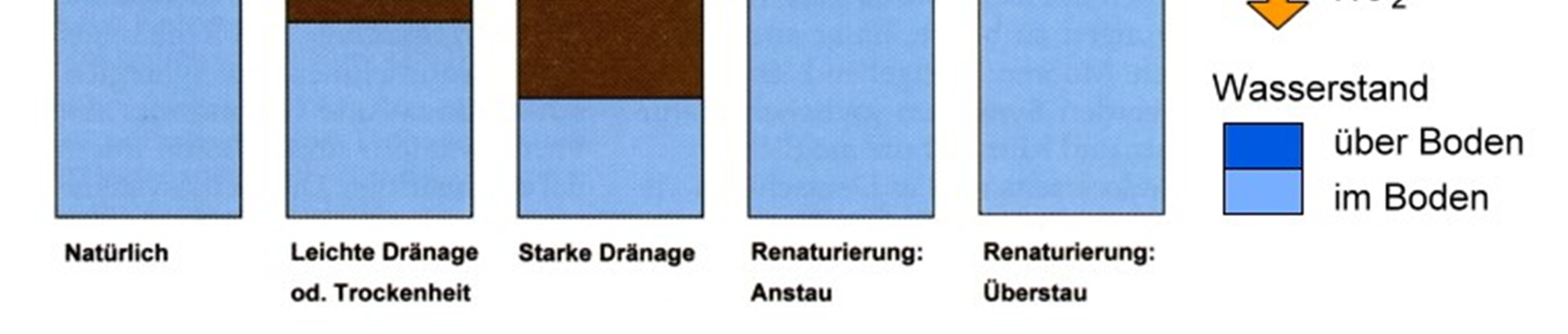 Bedeutung von Mooren für den Klimaschutz Wichtiger C-Speicher (Torf), CO 2 -Senke oder Quelle klimarelevanter Gase ca.