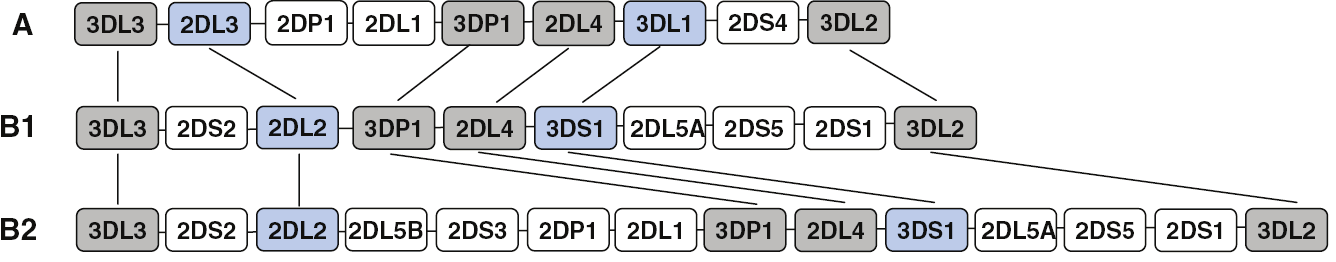 Einleitung Das gleiche gilt für 3DL1 und 3DS1.