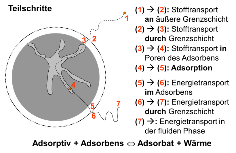 TUTTAHS & MEYER Ingenieurgesellschaft mbh Seite 8 Bild 5: Teilschritte der Adsorption (Breitbach und Bathen, 2001) Folgende Eigenschaften des Adsorptivs können nach Cooney (1998) die Physisorption