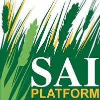 SAI-Nachhaltigkeitsdokumentation Ergebnisse zeigen: Rübenanbau ist nachhaltig 2016 werden externe Kontrollen von SAI über Zertifizierer gefordert