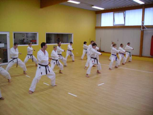 Wer Sensei Michael kennt, weiß, dass Karate nicht nur aus Kumite besteht. Daher übten wir natürlich auch Kihon und selbstverständlich auch Katas bis zum Umfallen.