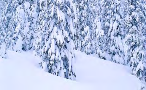 20 Vertällscher 2014 Skifahr n im Sauerland Es war zur schönen Winterszeit Das Sauerland ist vollgeschneit. Und alle rufen laut: Juchee, das Sauerland liegt voller Schnee!