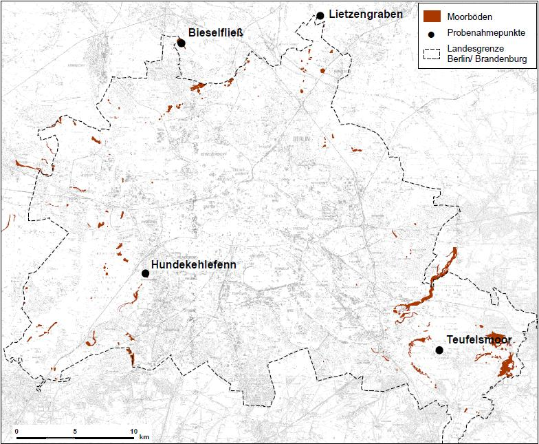Charakterisierung der Untersuchungsgebiete 3 Charakterisierung der Untersuchungsgebiete Die untersuchten Moorstandorte befinden sich in Berlin und Umland.