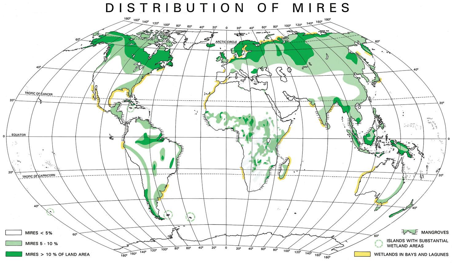 Allgemeine Grundlagen 1 Allgemeine Grundlagen 1.1 Verbreitung von Mooren Moorflächen gibt es fast überall auf der Erde (Abb.1).