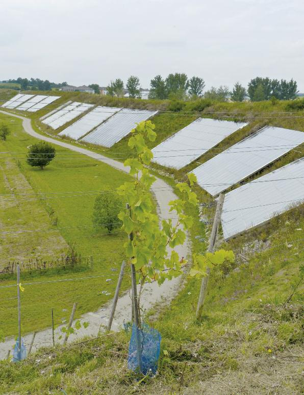 Blick auf die größte solarthermische Anlage Deutschlands