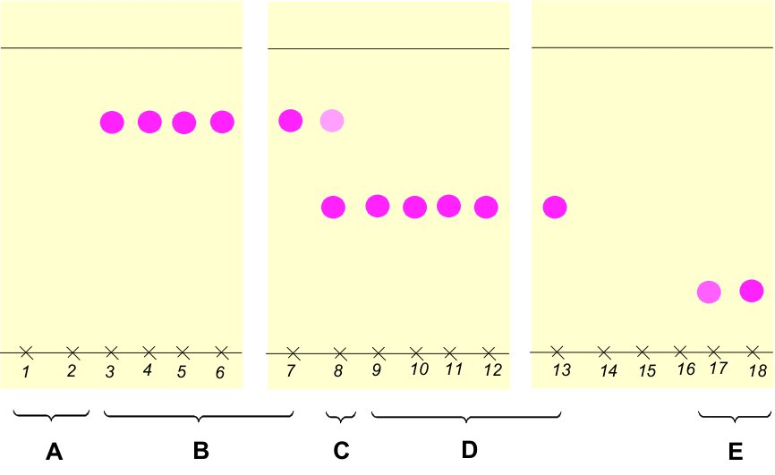Abbildung 5: Auswertung der DCs von einzelnen Fraktionen einer Säulenchromatographie Zuordnung der Fraktionen Zur Zuordnung der Fraktionen muss man sich die Ergebnisse der Dünnschichtchromatographie