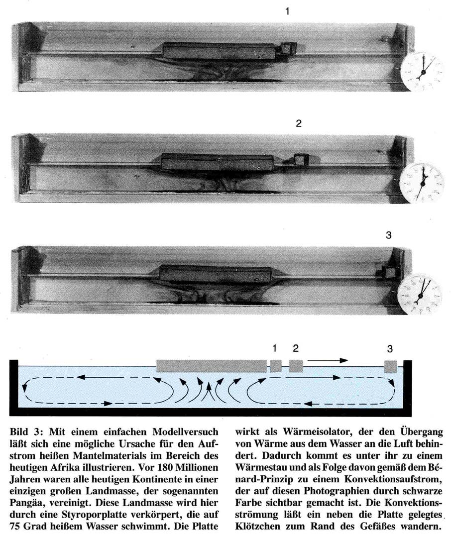 Geodynamik und