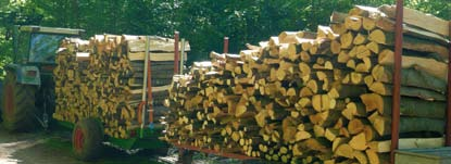 Wichtige Hinweise für die Holzvermarktung Beachten Sie bei Ihrer Holzeinschlagsplanung die in den Mitteilungsblättern veröffentlichten Hinweise zu örtlichen Einschlagsschwerpunkten.