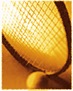 VORTEIL: TENNIS-CARD VORTEIL: TENNIS-CARD Ob in Gold oder Silber gehalten - mit der Tennis-Card sind viele Vorteile verbunden.
