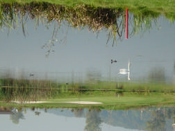 Eisvogel: Im Golfpark konnten zur Brutzeit 2007 regelmässig 1-2 Eisvögel beobachtet werden (auch unabhängig von den drei Kartierungen). Der Eisvogel wird regelmässig im Golfpark festgestellt.