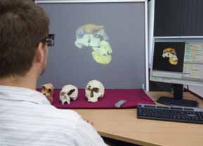 Neandertaler und hierarchische Matrizen 3D Print in Gips und Visualisierung