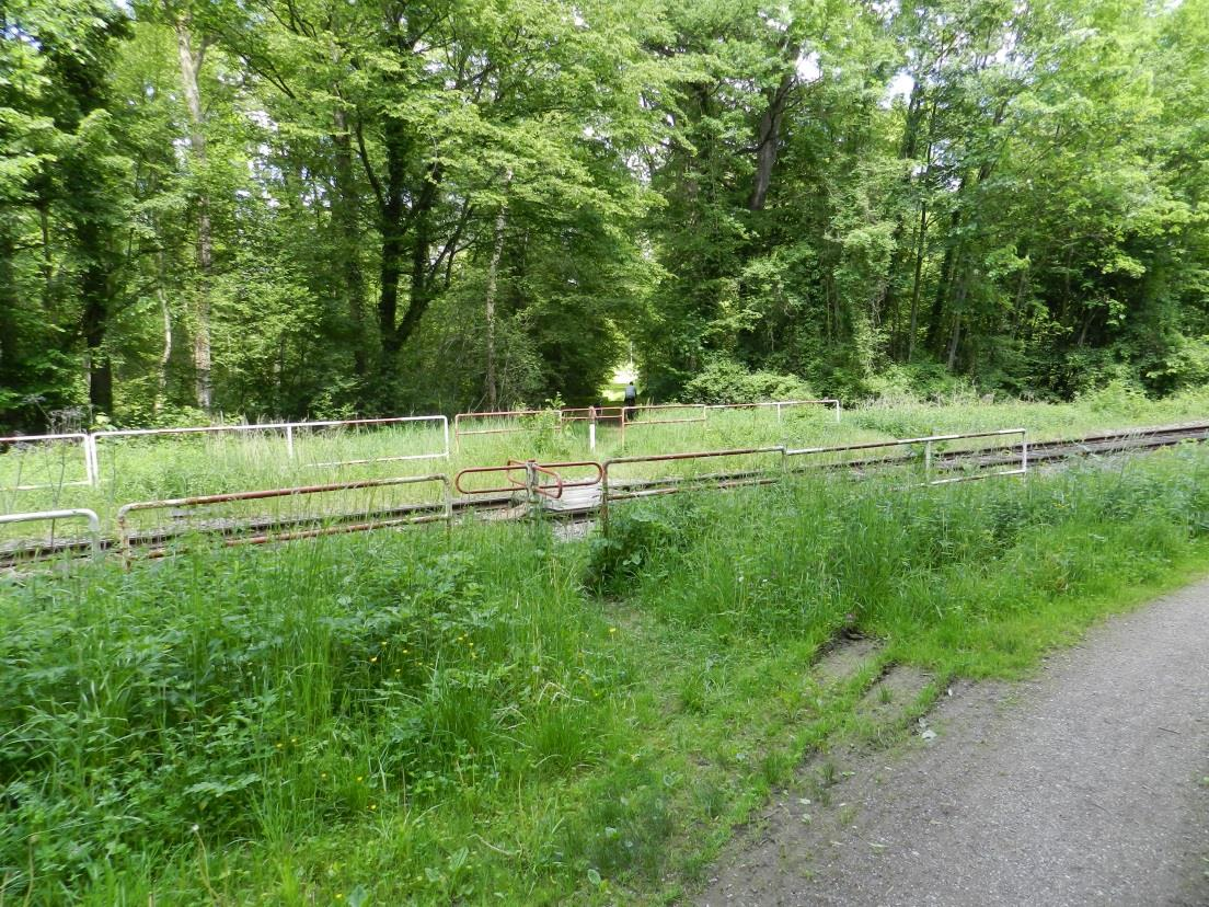 Maßnahmen Gemeinden March (Hugstetten)/ Gottenheim Bahnübergange Waldwege (Bahn-km 9,2