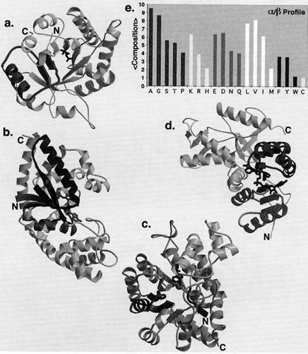 Abb. 16 Proteine, die aus separierten α-helix und β-sheet Domänen aufgebaut sind: a) Cytochrom b5, b) SRC-Domäne, c) Klasse 1 major-histocompatibility-complex (MHC) im Komplex mit einem Peptid, d)