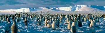 16 forschung forscher wollen noch mehr über das Eis herausfinden. Wenn wir wissen, wie viel Schnee fällt, können wir sicher sagen, wie viel Masse die Antarktis verliert, sagt Dr.