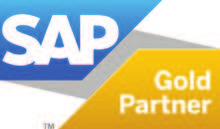 Jahresabschluss kompakt V8.81 SAP Business One Version 1.