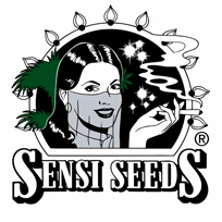 Neue feminisierte Varietäten von Sensi Seeds Das neue Sortiment von Sensi Seeds mit feminisiertem Top-Qualitätssaatgut Nach jahrelanger engagierter Züchtung kann