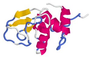 Prinzip der Proteine Function follows form sehr viel leichter herausfinden, welche Funktion dieses Molekül im Organismus hat. Name Babel Chime DeepView Url des Programms http://www.eyesopen.