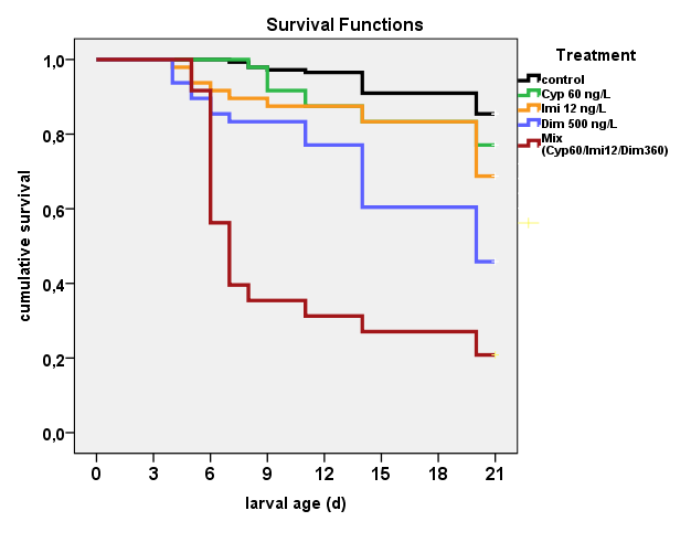 Abbildung 4.1: Überlebensrate von Larven, mit Cypermethrin (60 ng/l/d), Dimethoat (500 ng/l/d) und Imidacloprid (12 