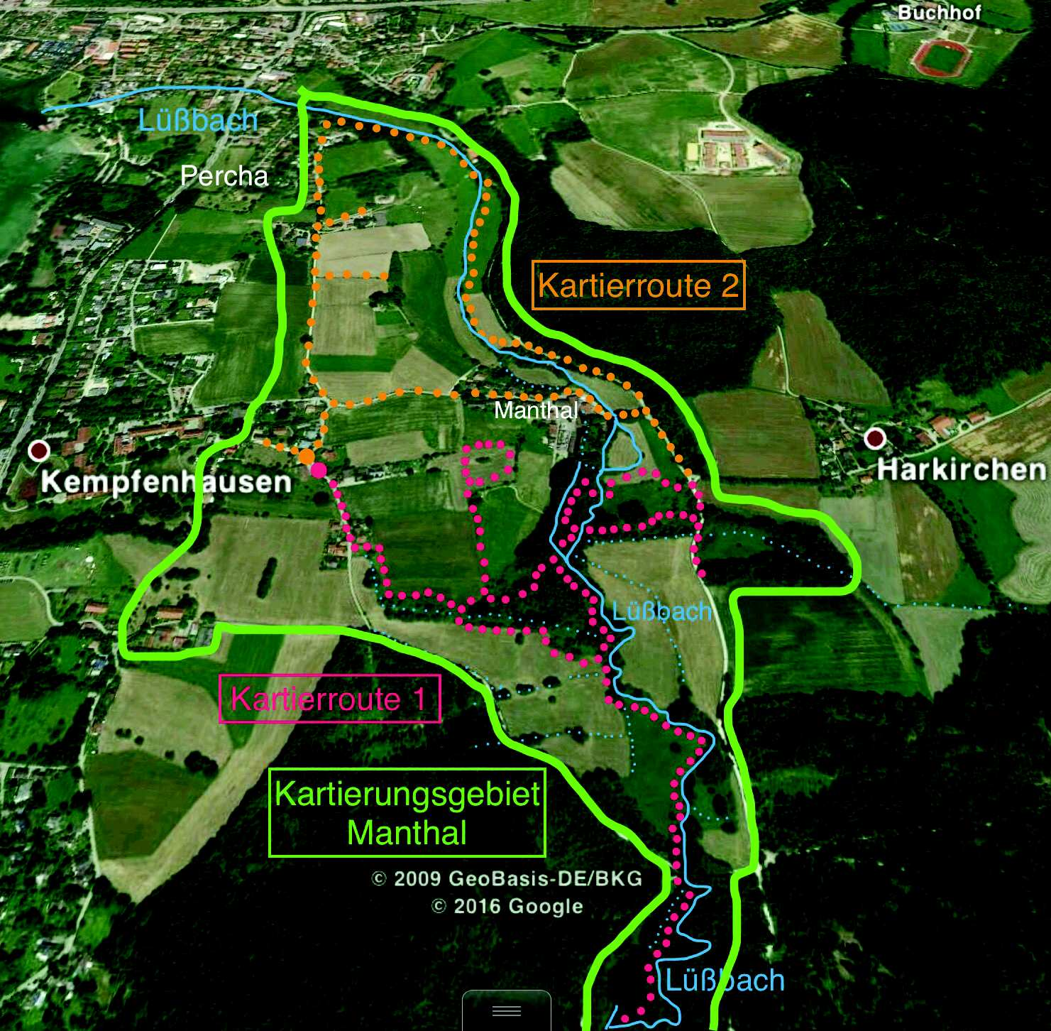 Abb. 5: Kartierrouten (rot bzw. orange) im Untersuchungsgebiet Manthal. Aufgrund der Größe des Gebiets wurden zwei verschiedene Begehungsrouten gewählt.