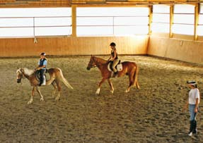 Der Wastlhof und Pferde eine Kombination, die es in sich hat. Aus Liebe und Leidenschaft den Tieren, den Reitern und dem Sport zugetan. 15 bestens ausgebildete Warmblüter und Haflinger leben hier.