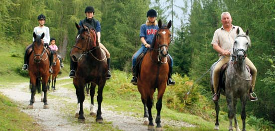 Wochenprogramm für alle Reiter und Pferdefreunde. Jeder Reiter sollte sein Pferd putzen, pflegen und mit ihm Zeit verbringen.