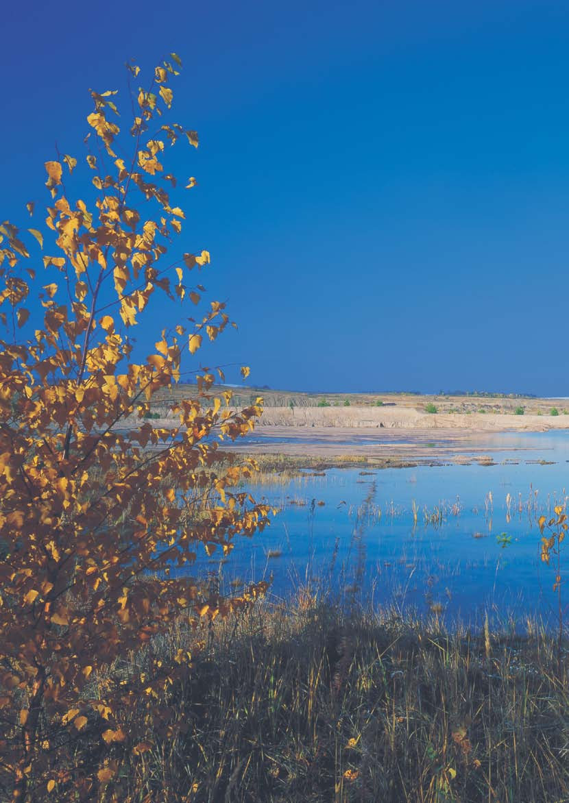 Die Lausitzer und Mitteldeutsche Bergbau-Verwaltungsgesellschaft Inhalt Die LMBV 2 Regionen im Wandel 4 Das Liegenschaftsportfolio der LMBV 6 Neue Landschaften und Gewässer 10 Industrieparks und