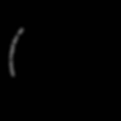 1, 99 Abb. zeigt größeres Exemplar Irische Glockenheide Daboecia cantabrica Immergrüner Zwergstrauch Topf-Ø 10,5 cm 19, 99 Japanische Stechpalmen-Kugel Ilex crenata 'Stokes' Immergrün ca.