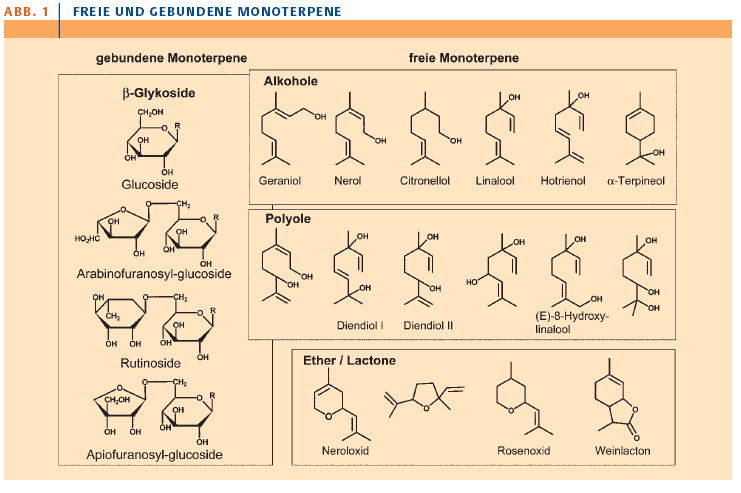 Freie und gebundene Monoterpene im Wein M.