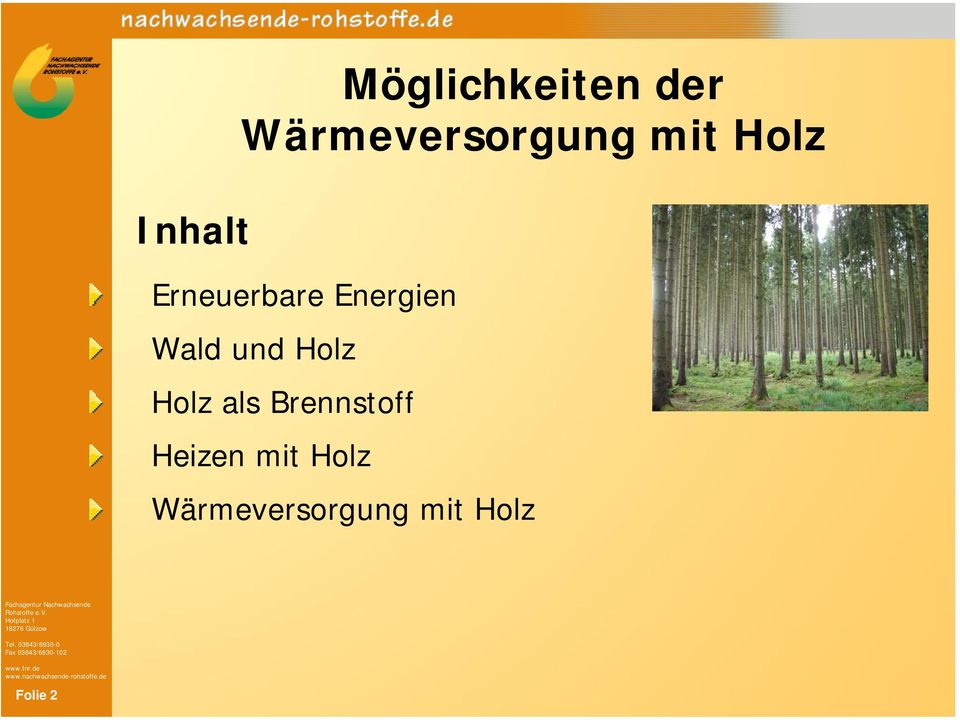 Energien Wald und Holz Holz als