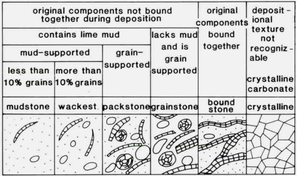Klassifikation Klassifikation der Kalksteine
