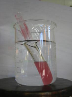 Dibenzoylperoxid) 9 der Härterpaste auch im Schülerversuch zulässig Wasser H 2 S I Geräte Elektrische Heizplatte Becherglas (200 ml) für Wasserbad Reagenzglas