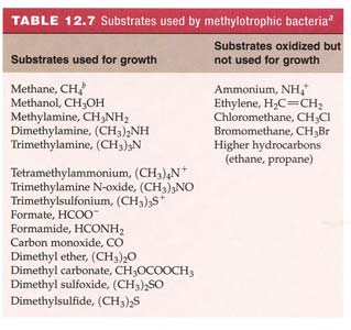 Proteobakterien Methylosinus Methylococcus capsulatus Proteobakterien CH 4 CH 3 OH HCHO HCOOH CO 2 Methanotrophe Bakterien Intrazelluläre Membranen: Typ-II-Membransystem