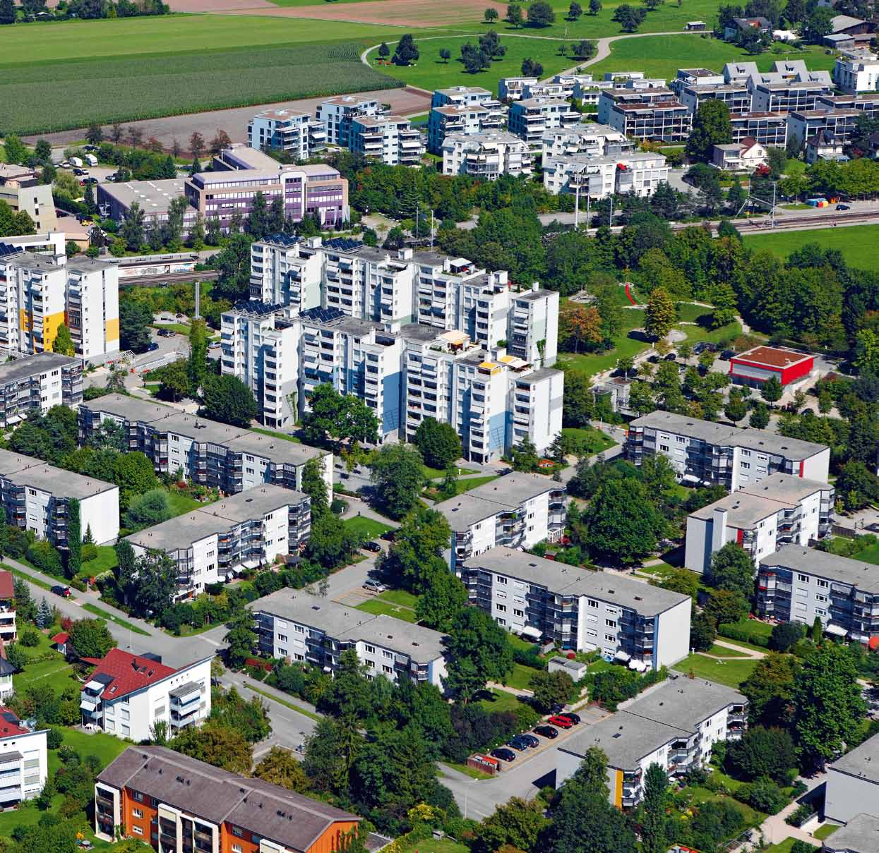 Müllerwis ist ein Vorzeigeprojekt grosser Wohnbausanierungen.